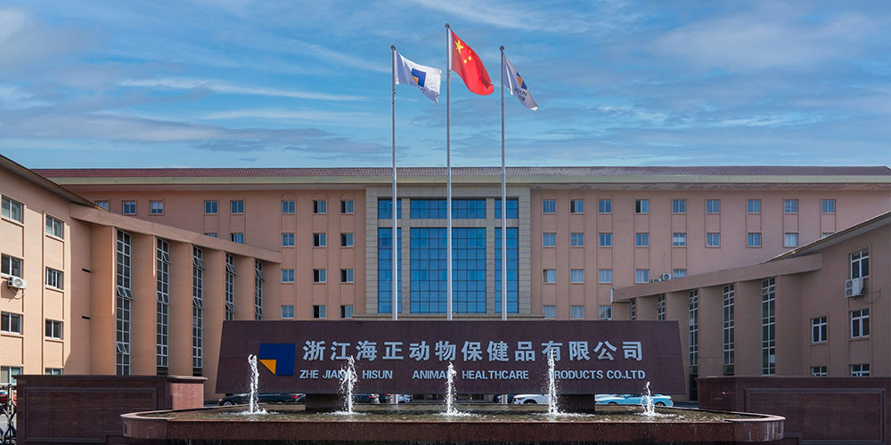 政府者清 奋楫者进 | 2025凯发一触即发动保销售启动会暨经销商大会圆满收官！_凯发一触即发动保