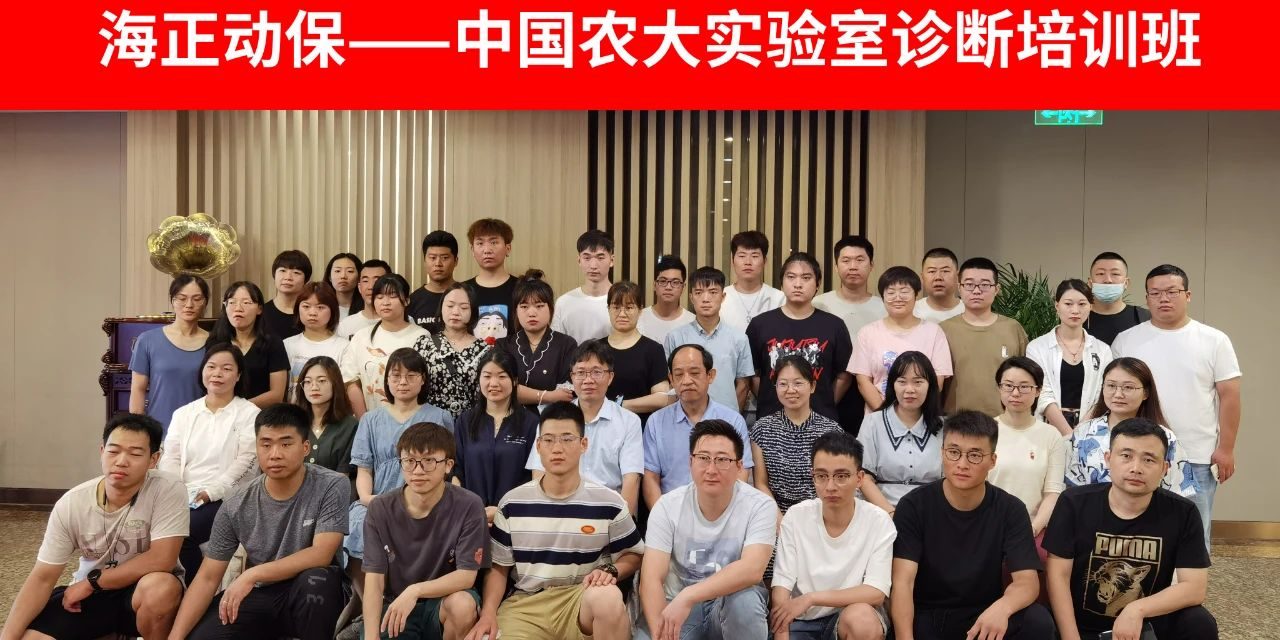 政府者清 奋楫者进 | 2025凯发一触即发动保销售启动会暨经销商大会圆满收官！_凯发一触即发动保
